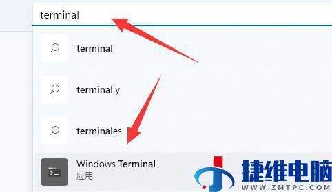 win11找不到wt.exe文件怎么办？win11没有wt.exe文件解决方法